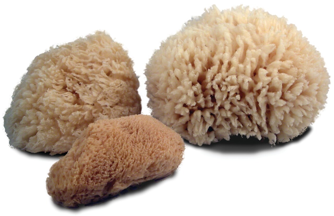 Royal Brush Craft Sack Natural Sea Sponges, 6/Pkg.